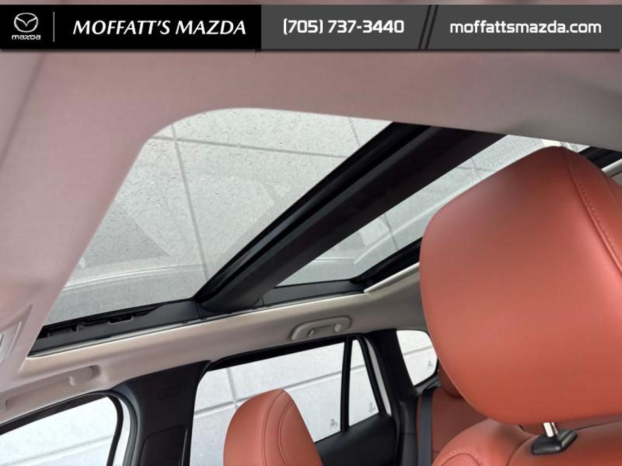 2024 Mazda CX-50 GT Turbo Photo