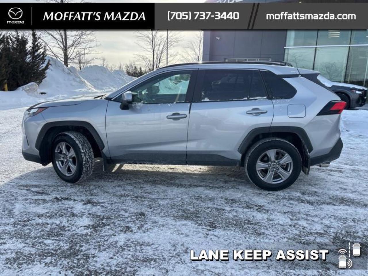 2025 Toyota RAV4 XLE Photo