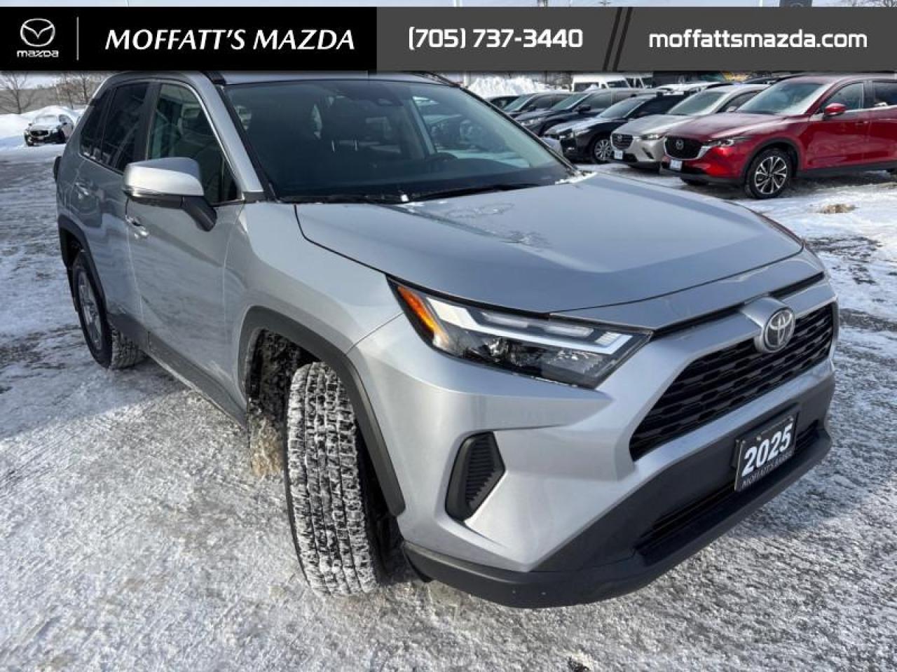 2025 Toyota RAV4 XLE Photo