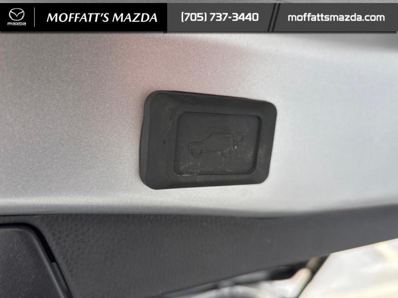 2025 Toyota RAV4 XLE Photo