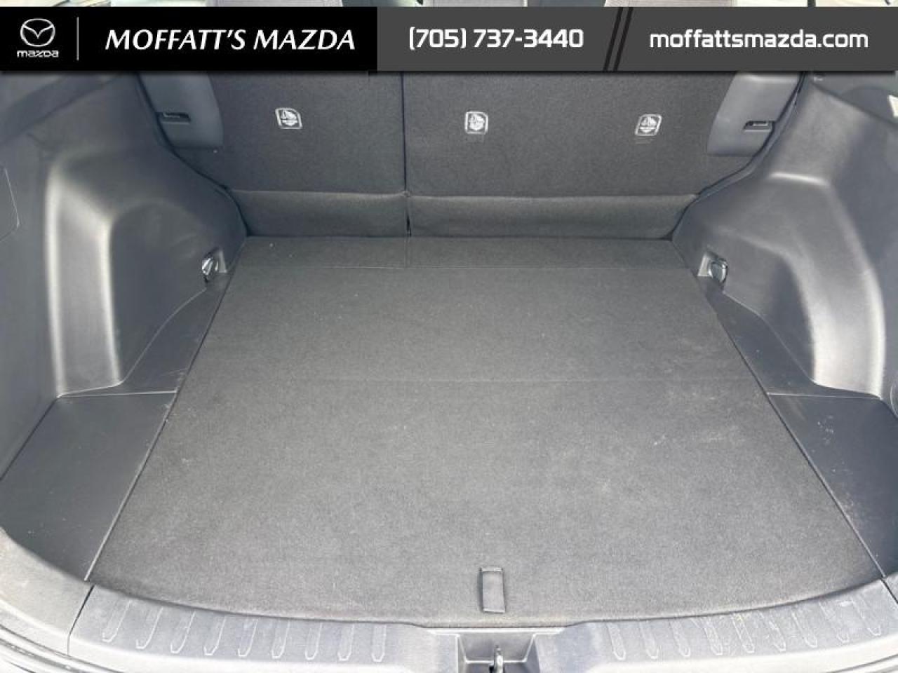 2025 Toyota RAV4 XLE Photo