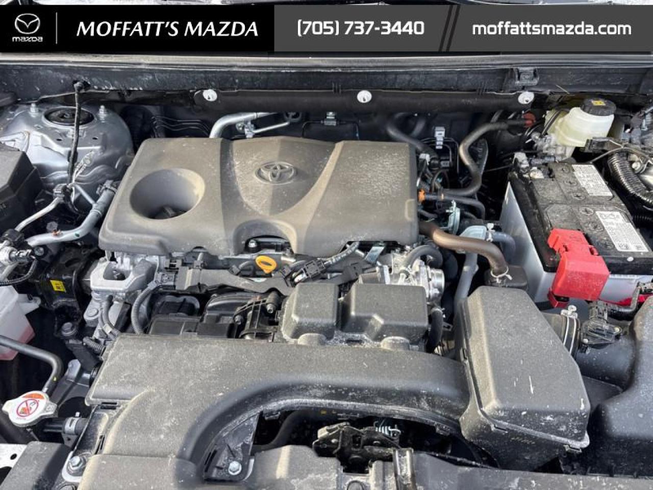 2025 Toyota RAV4 XLE Photo