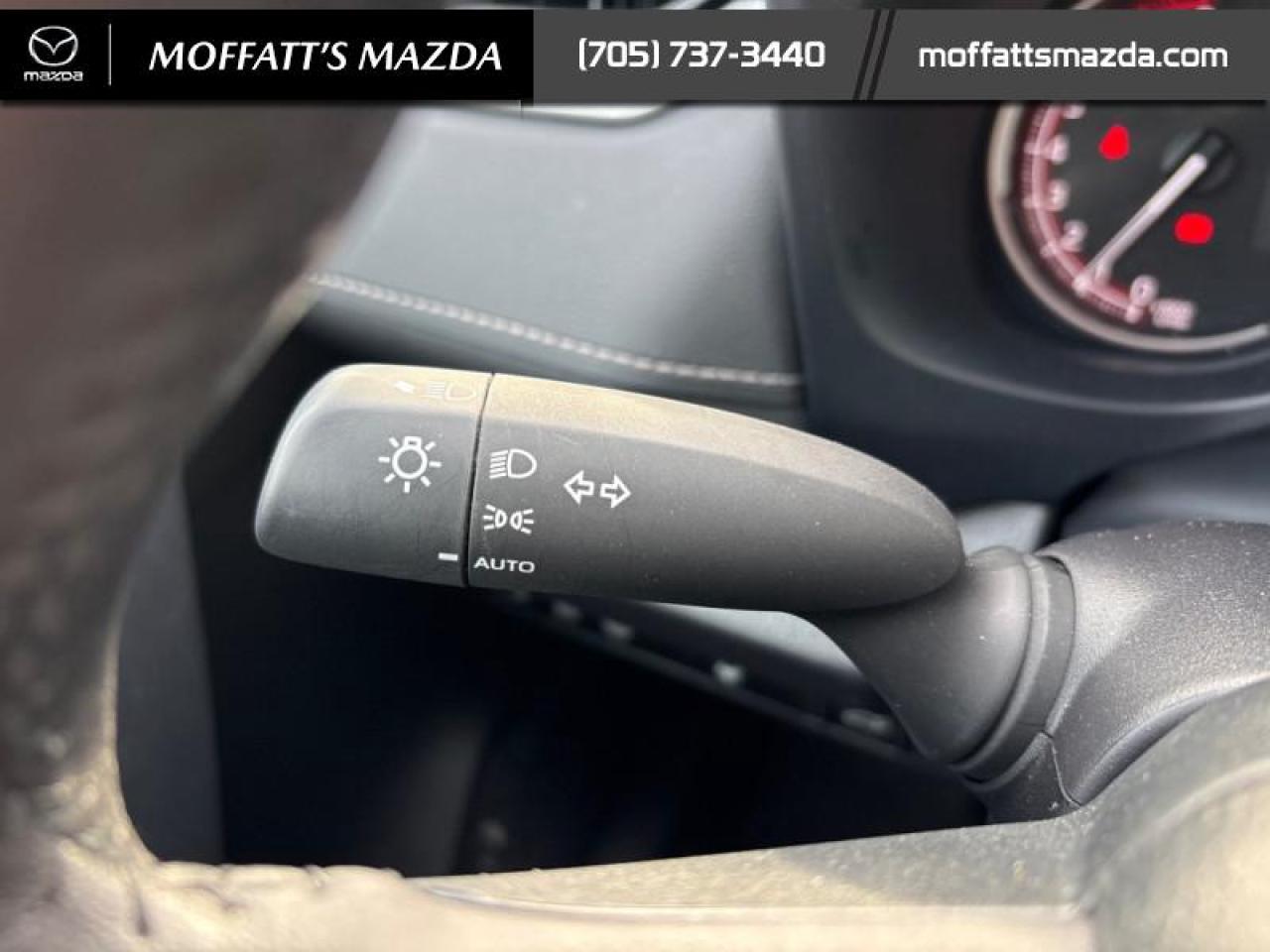 2025 Toyota RAV4 XLE Photo