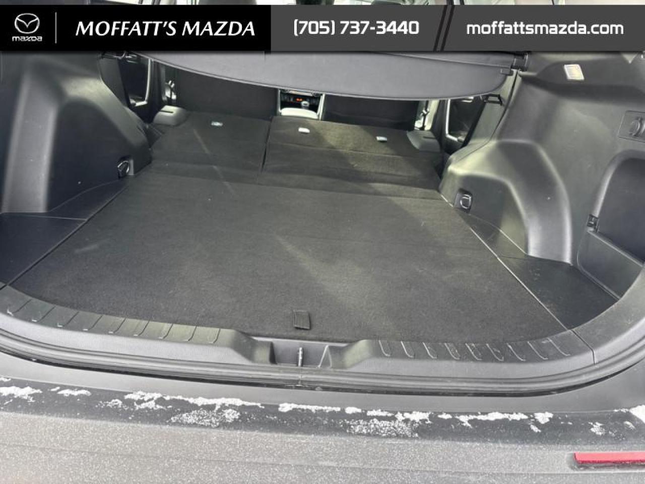 2025 Toyota RAV4 XLE Photo