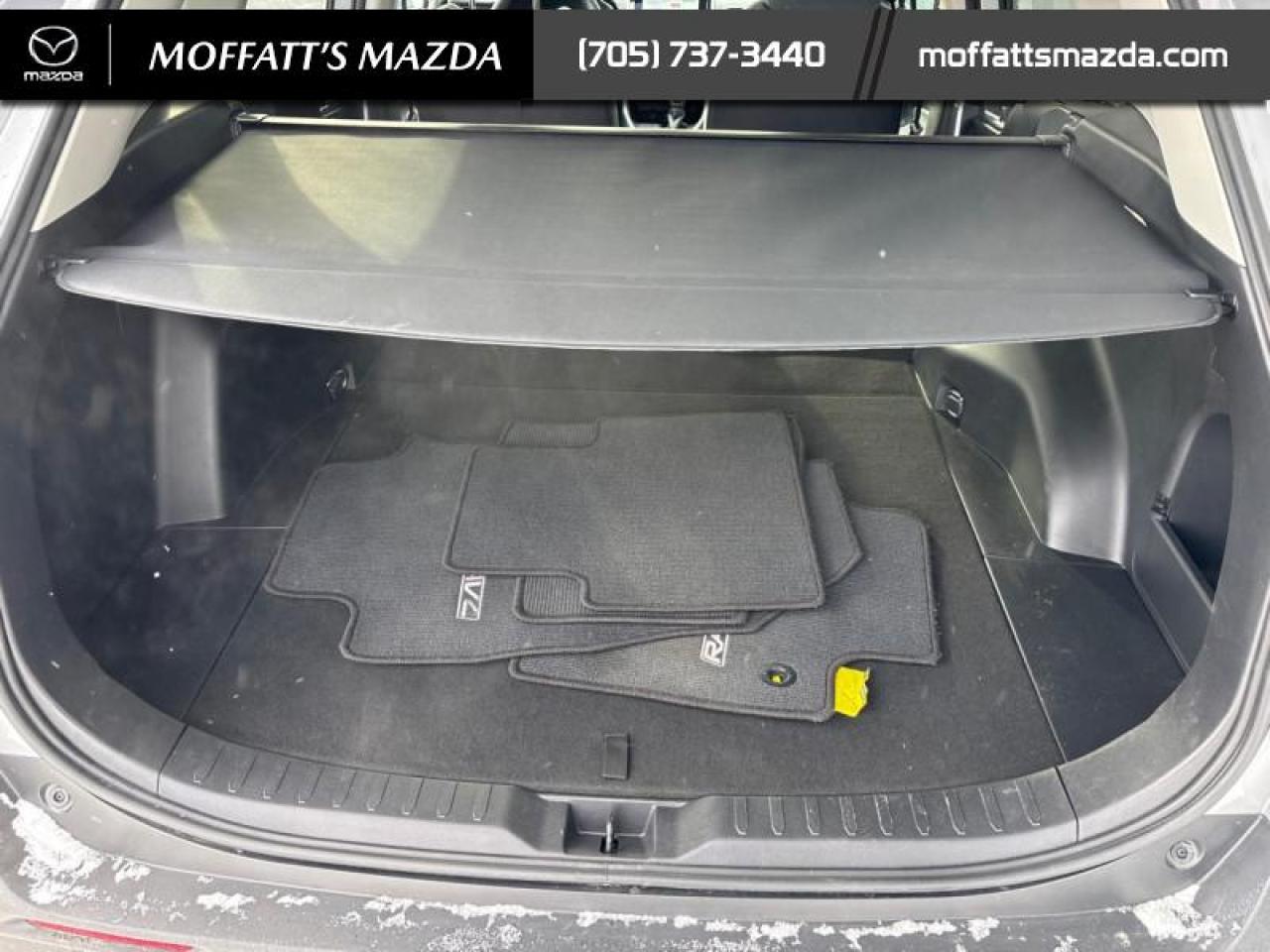 2025 Toyota RAV4 XLE Photo