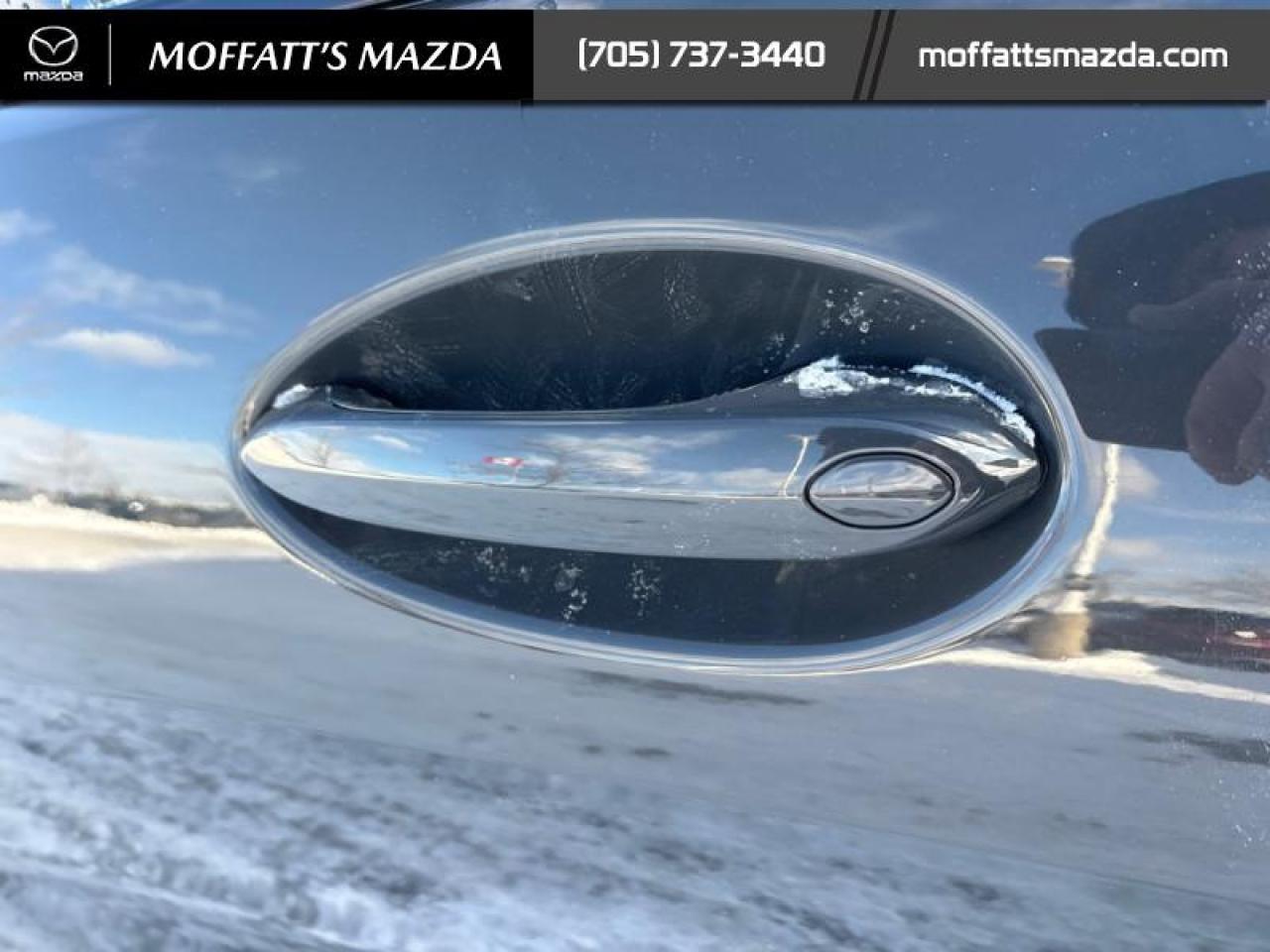 2019 BMW 8 Series M850i xDrive Coupe Photo