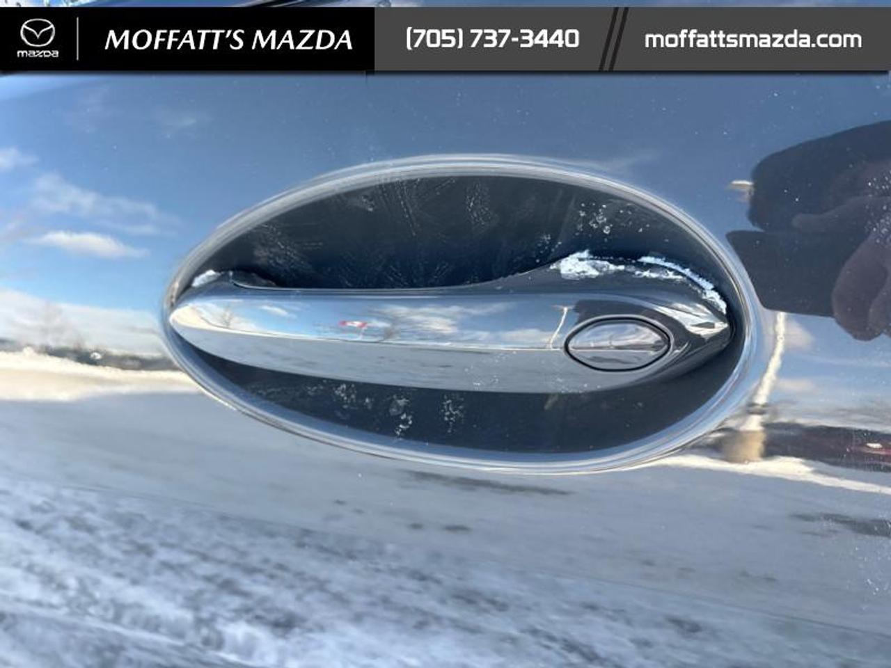 2019 BMW 8 Series M850i xDrive Coupe Photo