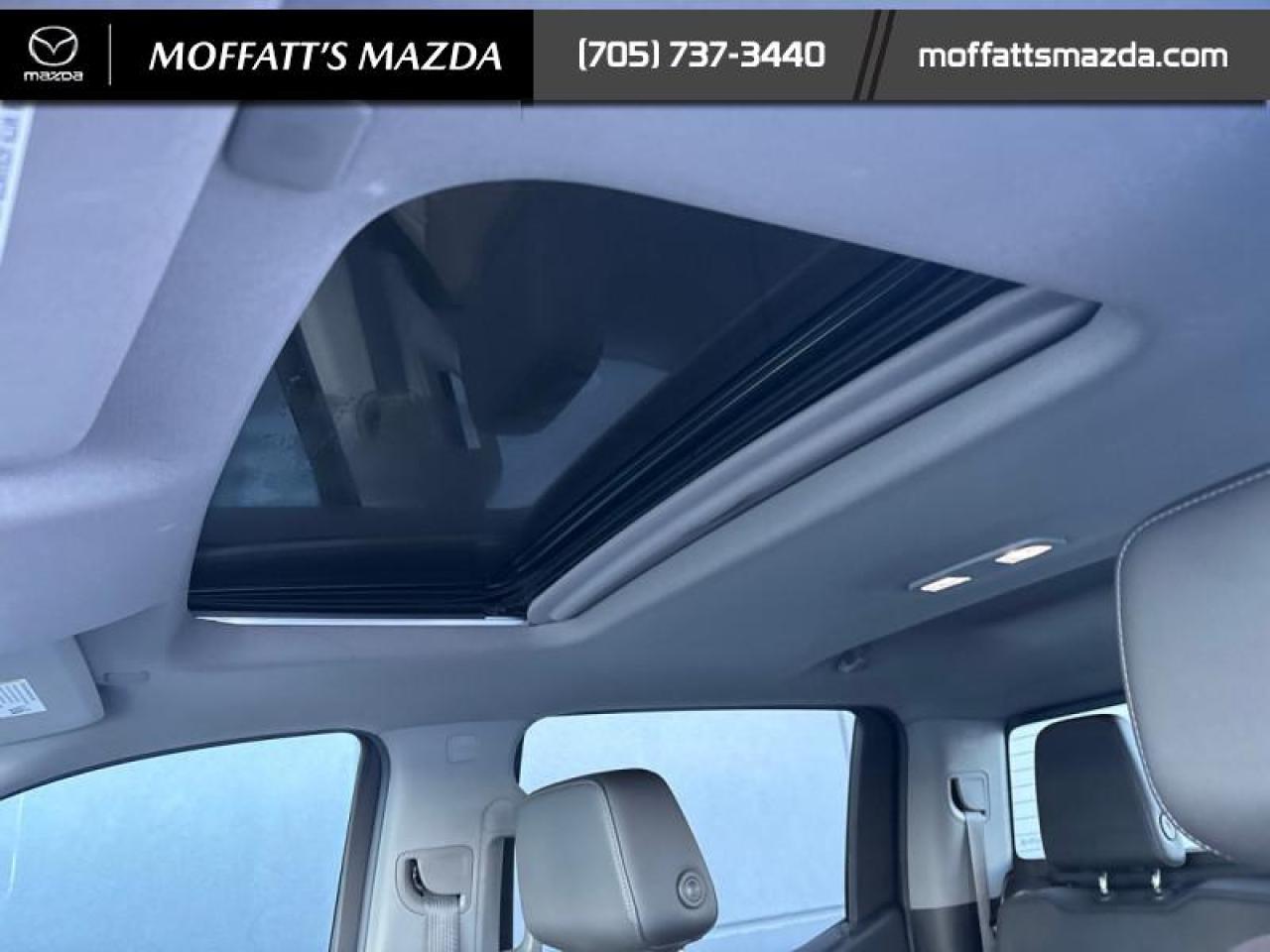 2021 Chevrolet Silverado 1500 LT Trail Boss Photo