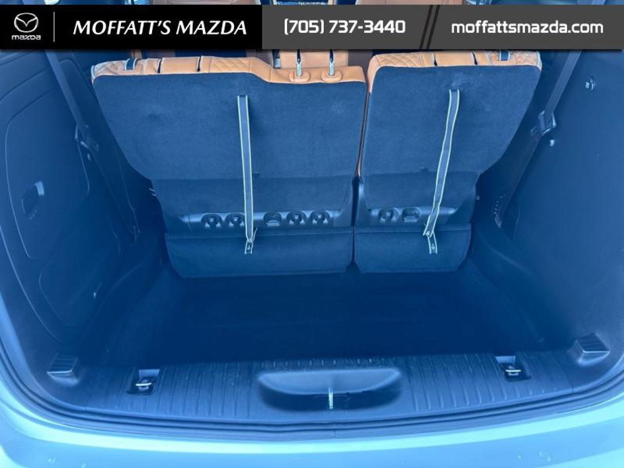 2023 Chrysler Pacifica Hybrid Pinnacle Photo