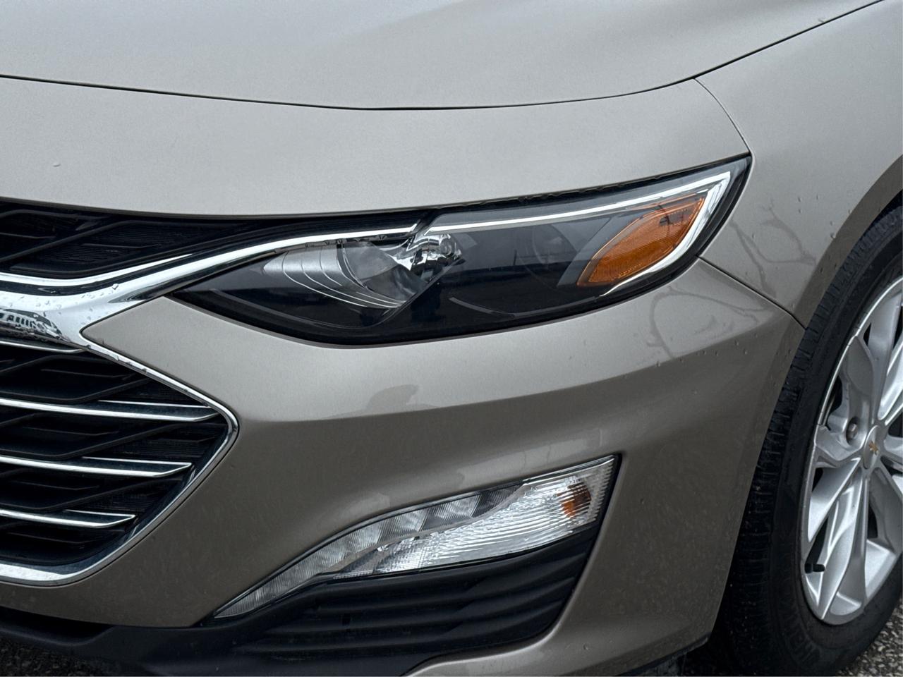 2023 Chevrolet Malibu LT POWER SEATS REAR CAM WE FINANCE ALL CREDIT! Photo