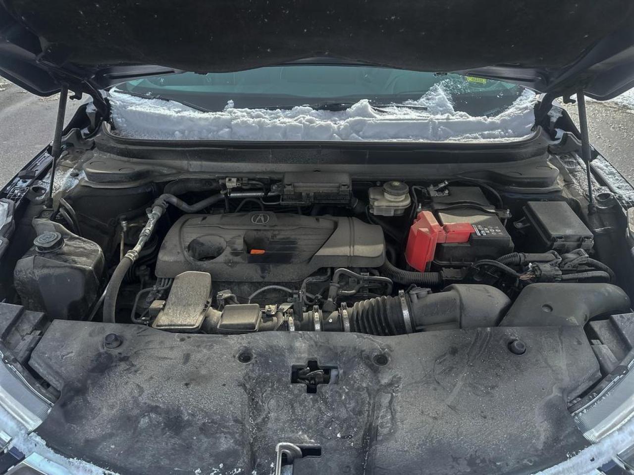 2020 Acura RDX Platinum Élite Photo