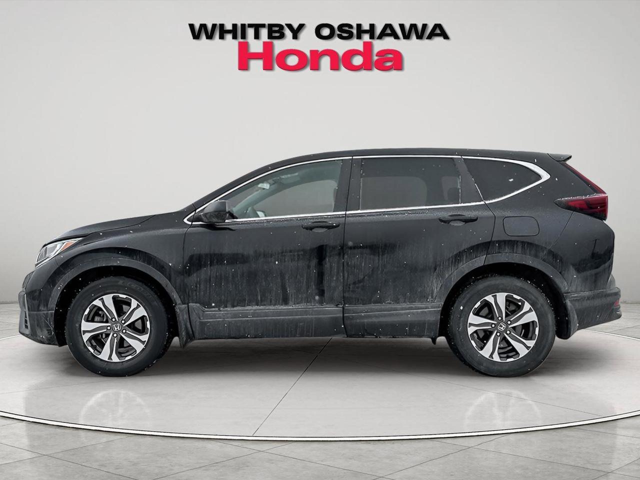 2021 Honda CR-V LX Photo