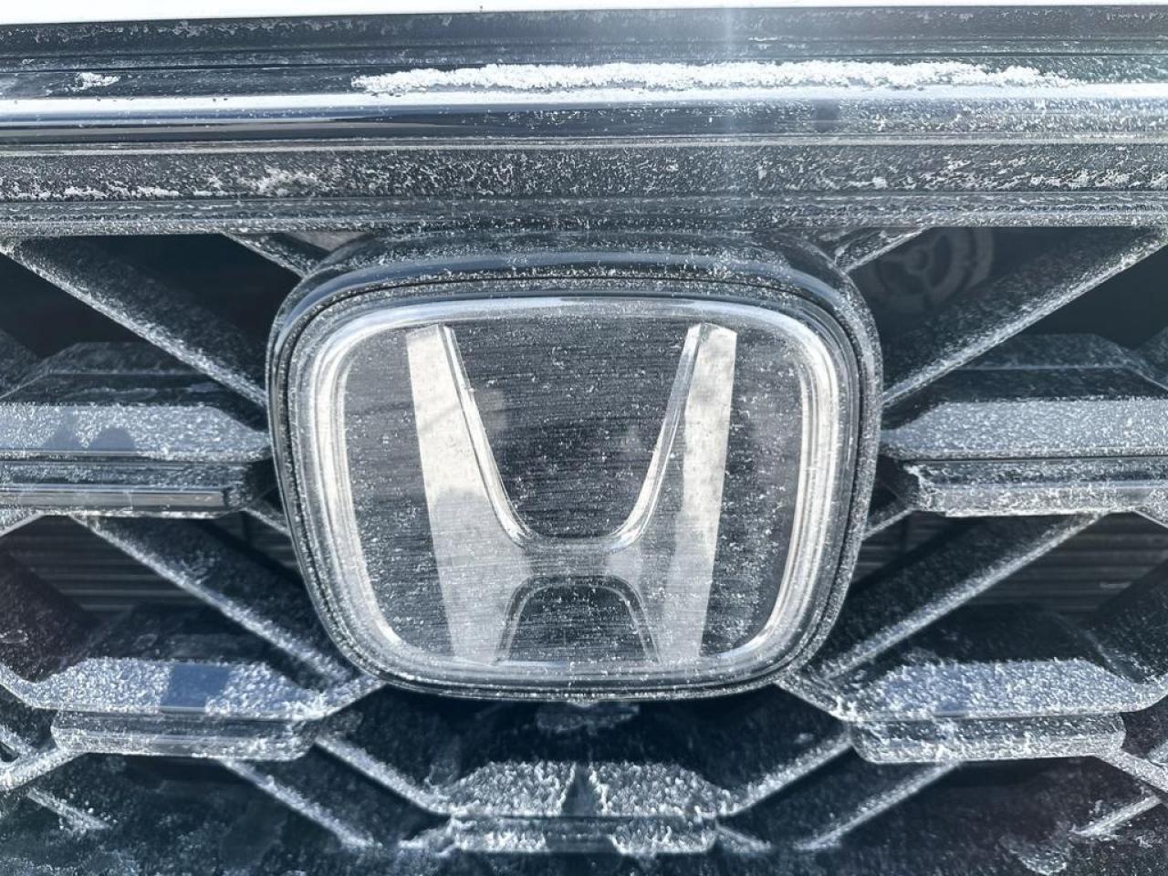 2024 Honda CR-V Hybrid EX-L Photo