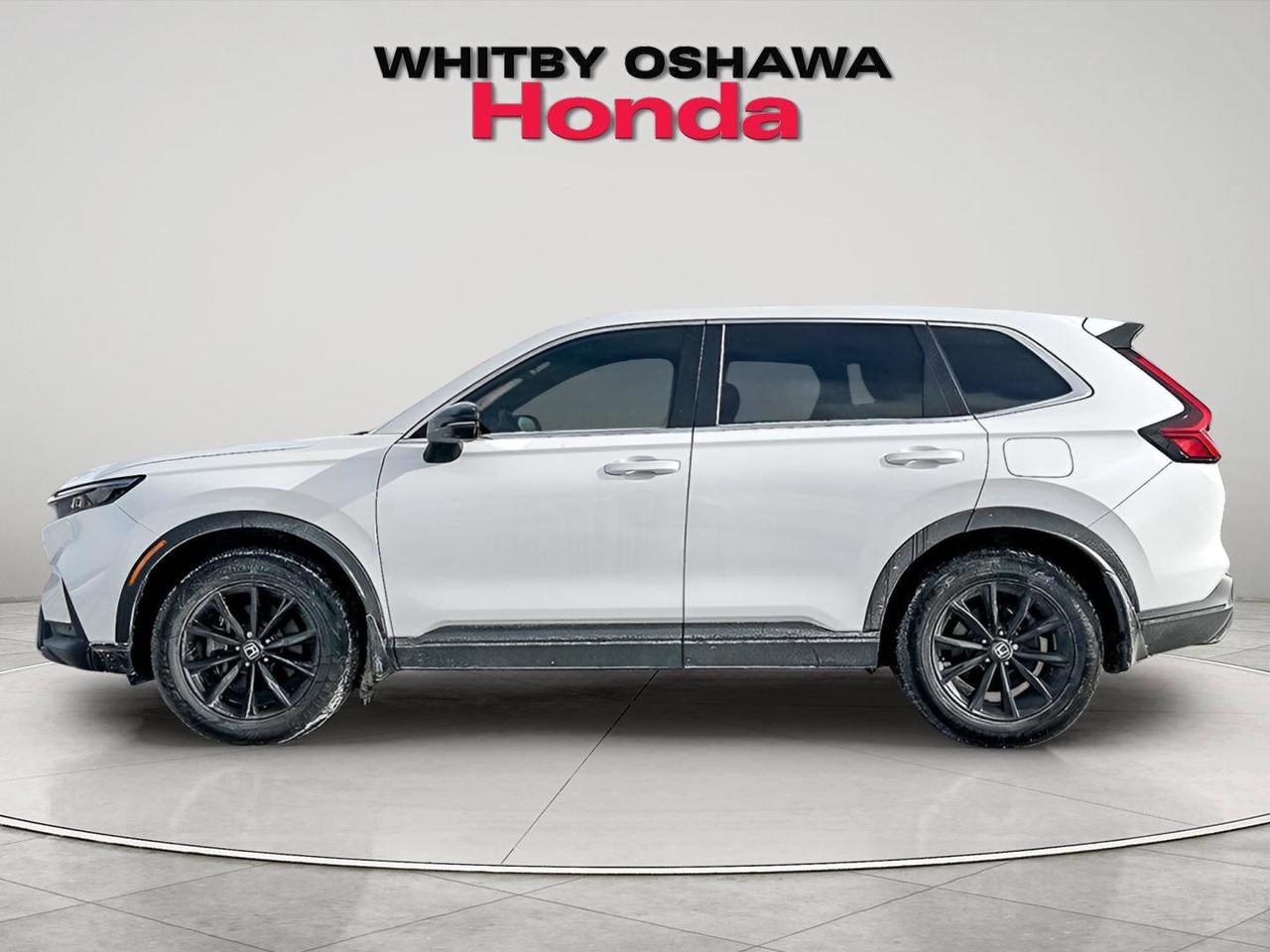 2024 Honda CR-V Hybrid EX-L Photo