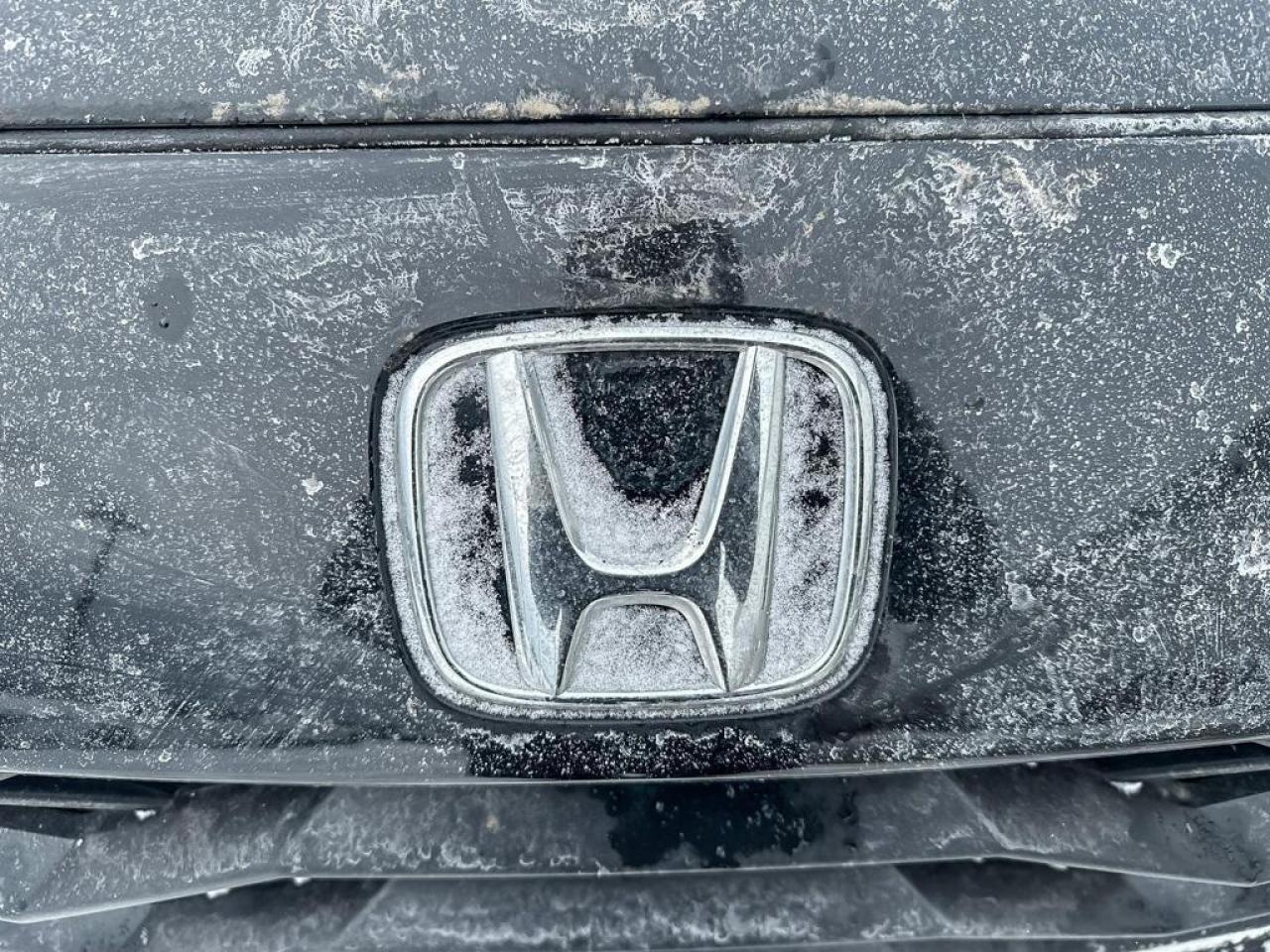 2024 Honda HR-V Sport Photo