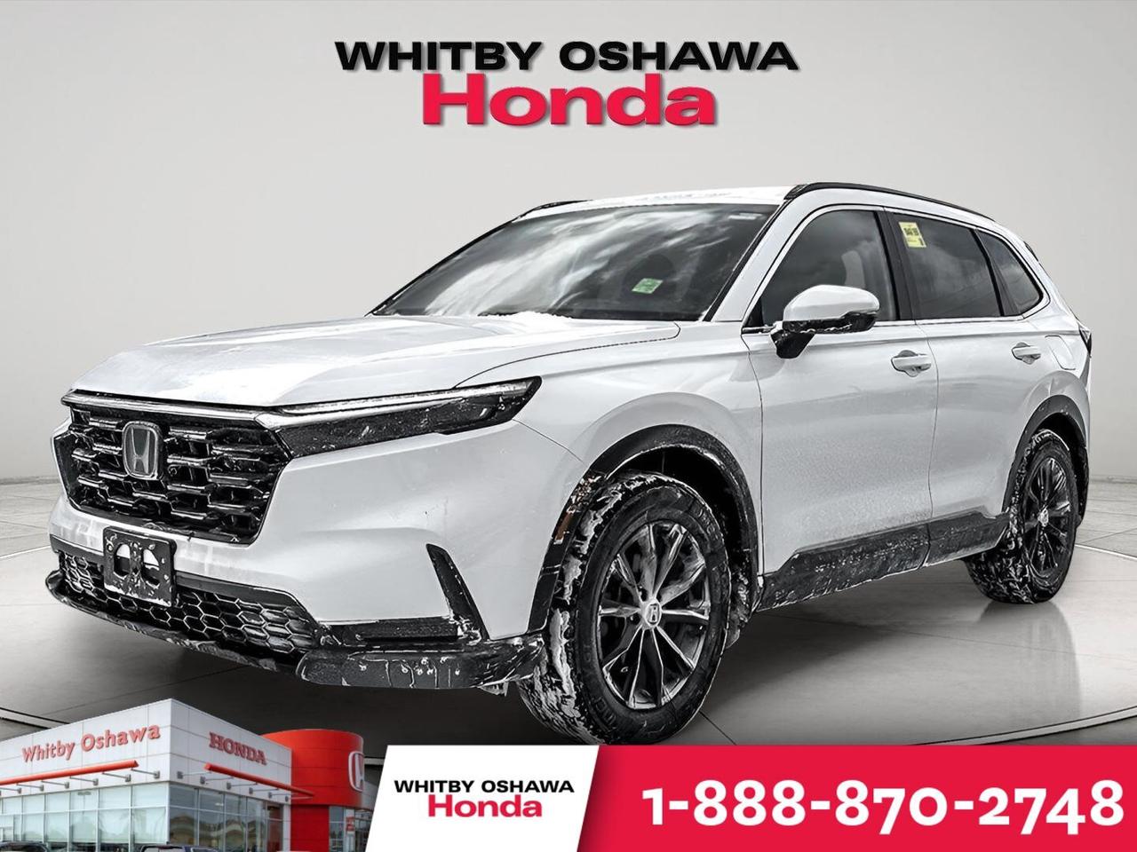 2023 Honda CR-V Sport Photo