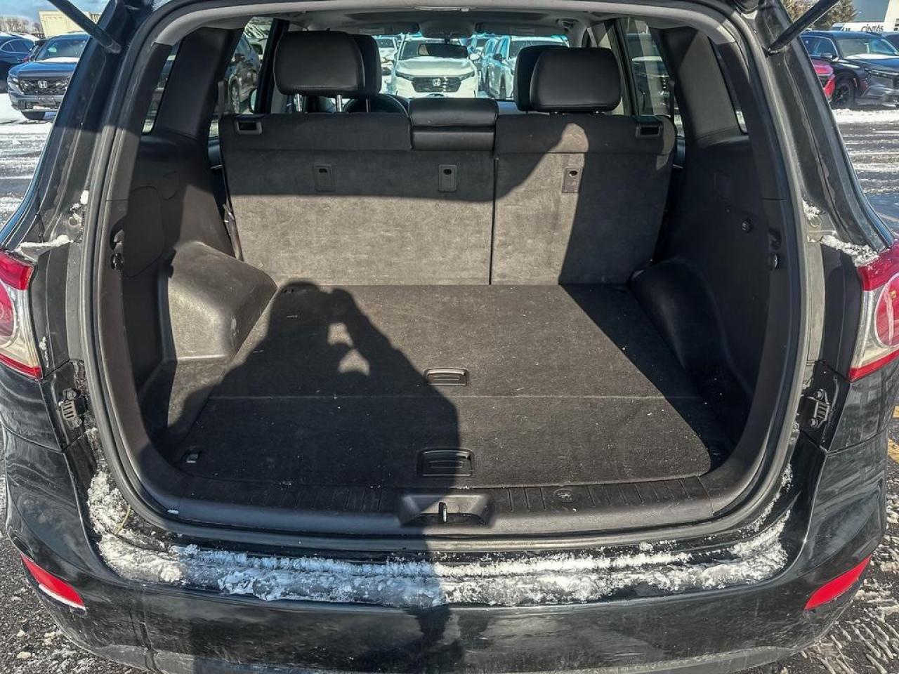 2010 Hyundai Santa Fe GL Photo