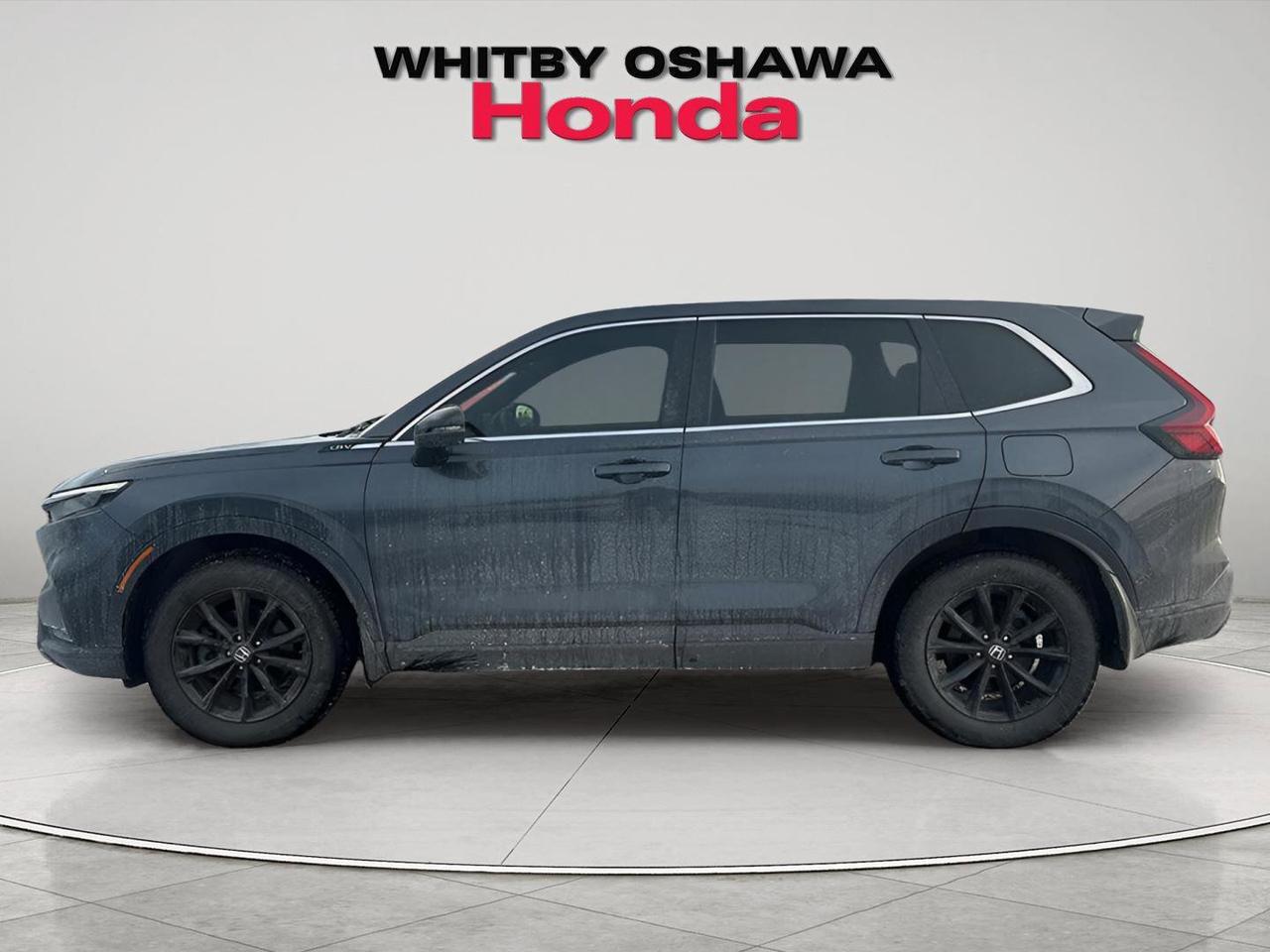 2024 Honda CR-V Hybrid EX-L Photo