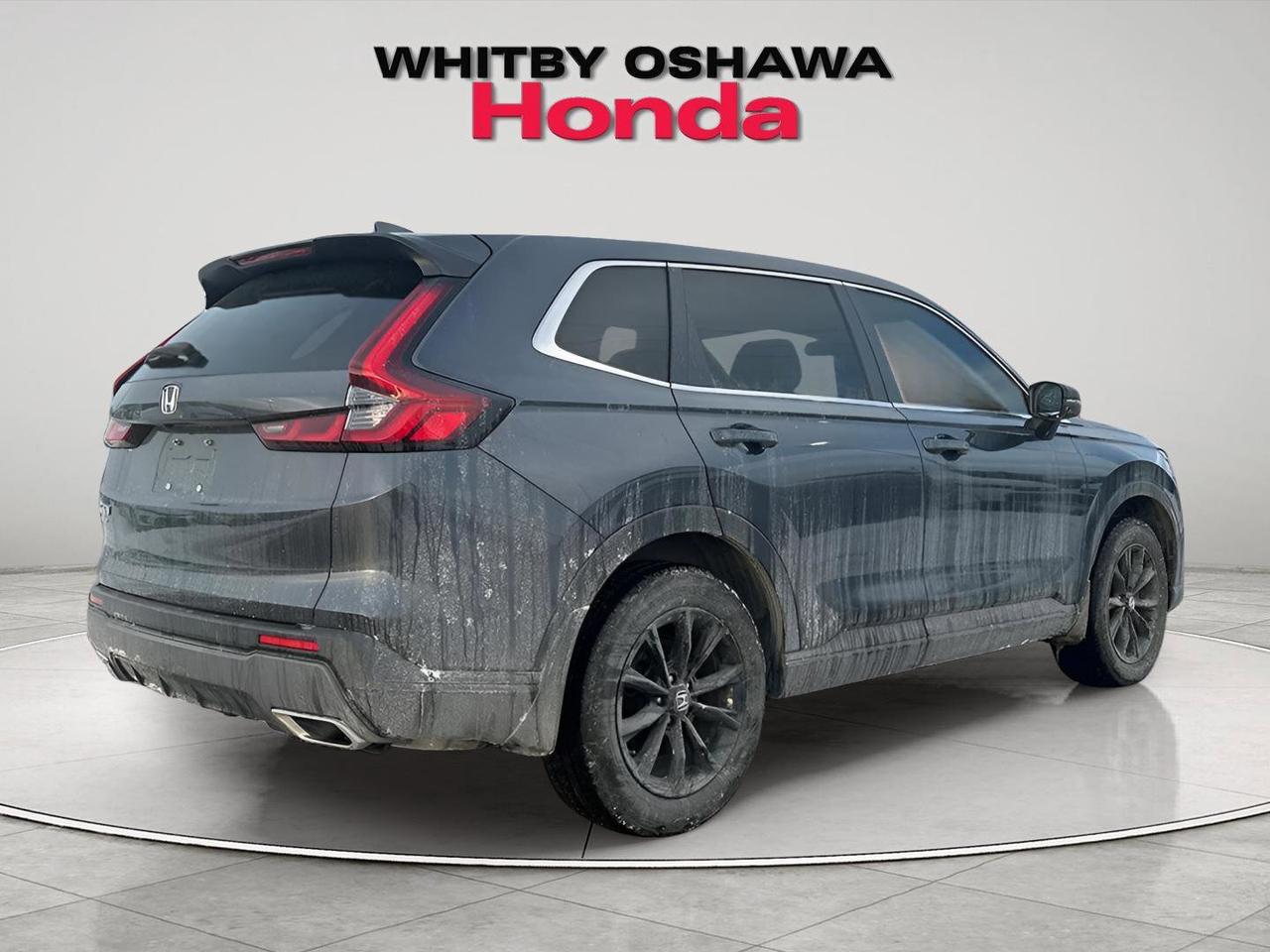 2024 Honda CR-V Hybrid EX-L Photo4