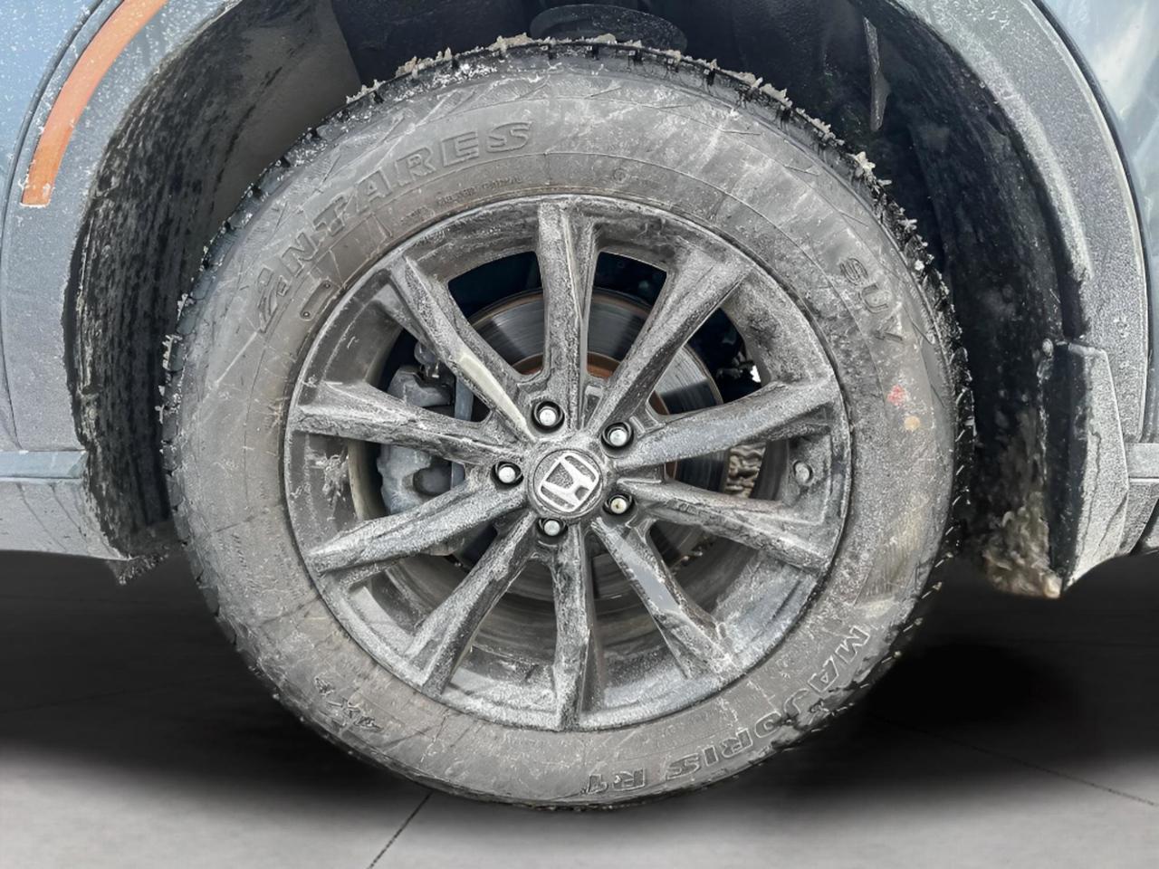 2024 Honda CR-V Hybrid EX-L Photo