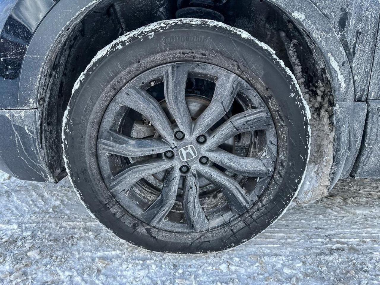 2021 Honda CR-V Black Edition Photo