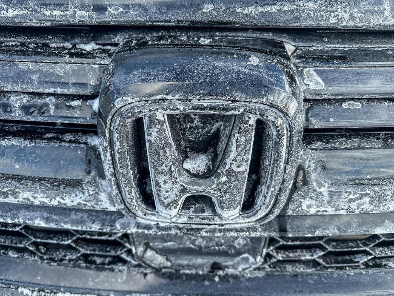 2021 Honda CR-V Black Edition Photo