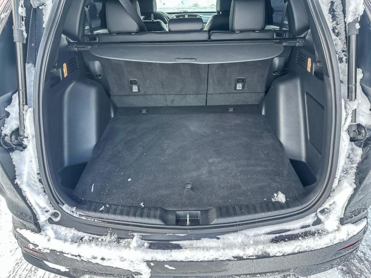 2021 Honda CR-V Black Edition Photo