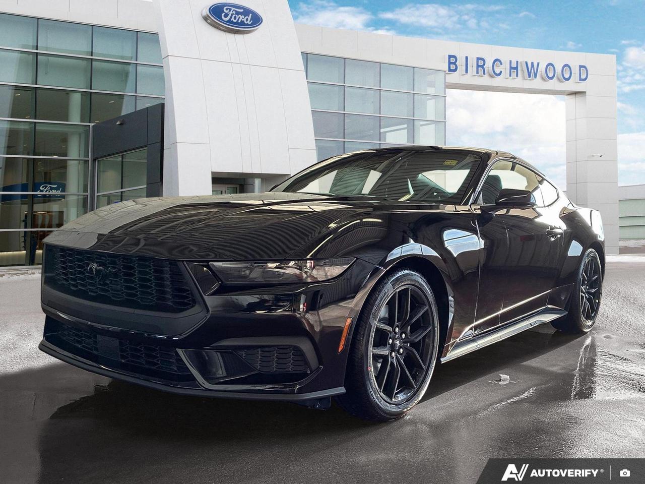 Experience the future of American muscle with the all-new 2026 Ford Mustang! This sleek sedan combines classic Mustang power with cutting-edge technology for an unparalleled driving experience.

- 2.3L 4-cylinder engine with rear-wheel drive for optimal performance
- Voice-activated dual-zone automatic air conditioning for personalized comfort
- Advanced safety features including cross-traffic alert and multiple airbags
- Smart device integration and Bluetooth connectivity for seamless tech integration
- Automatic high beam headlights for enhanced visibility and safety
- Incredibly low mileage of just 26 km, practically brand new
- Stylish black exterior that embodies the Mustangs iconic look

Dont miss your chance to own this next-generation Mustang. Visit Birchwood Ford today to reserve your test drive or start the purchase process. Our team is ready to answer any questions and help you experience the thrill of the 2026 Mustang firsthand. Your dream car awaits at www.birchwoodford.ca!
Birchwood Ford is your choice for New Ford vehicles in Winnipeg. 

At Birchwood Ford, we hold ourselves to the highest standard. Our number one focus is customer satisfaction which has awarded us the Ford of Canadas Presidents Award for 5 consecutive years. This honour is presented to Ford dealers that have proven outstanding results in Sales and Customer Service Excellence.

Are you a newcomer to Canada, recent graduate, first time car buyer or physically challenged? Ask us about our exclusive rebates and how they may apply to you.
 
Interested in seeing/hearing more? Book a test drive or give us a call at (204) 661-9555 and we can help you with whatever you need!

Dealer permit #4454
Dealer permit #4454