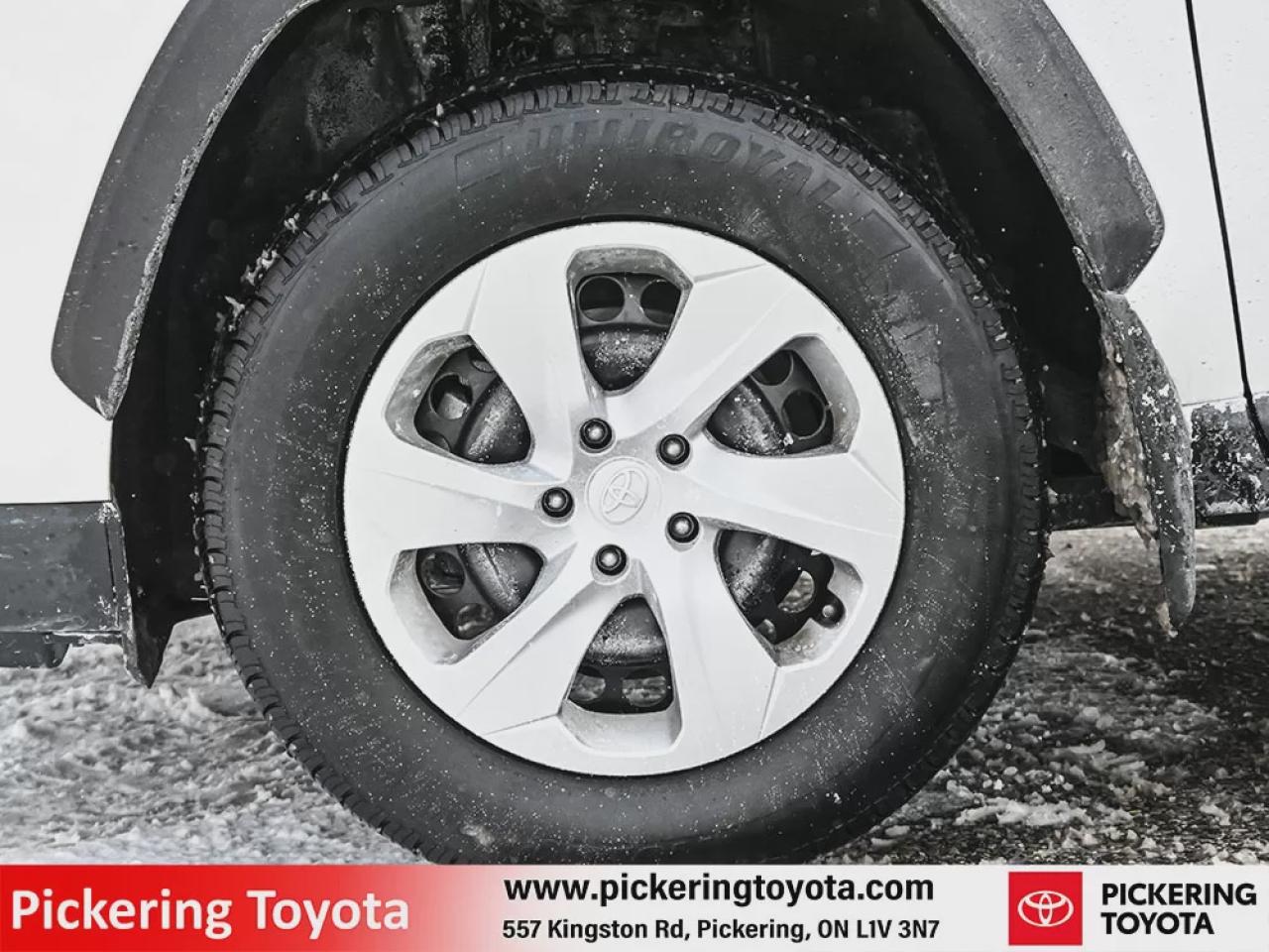 2024 Toyota RAV4 4DR AWD LE Photo