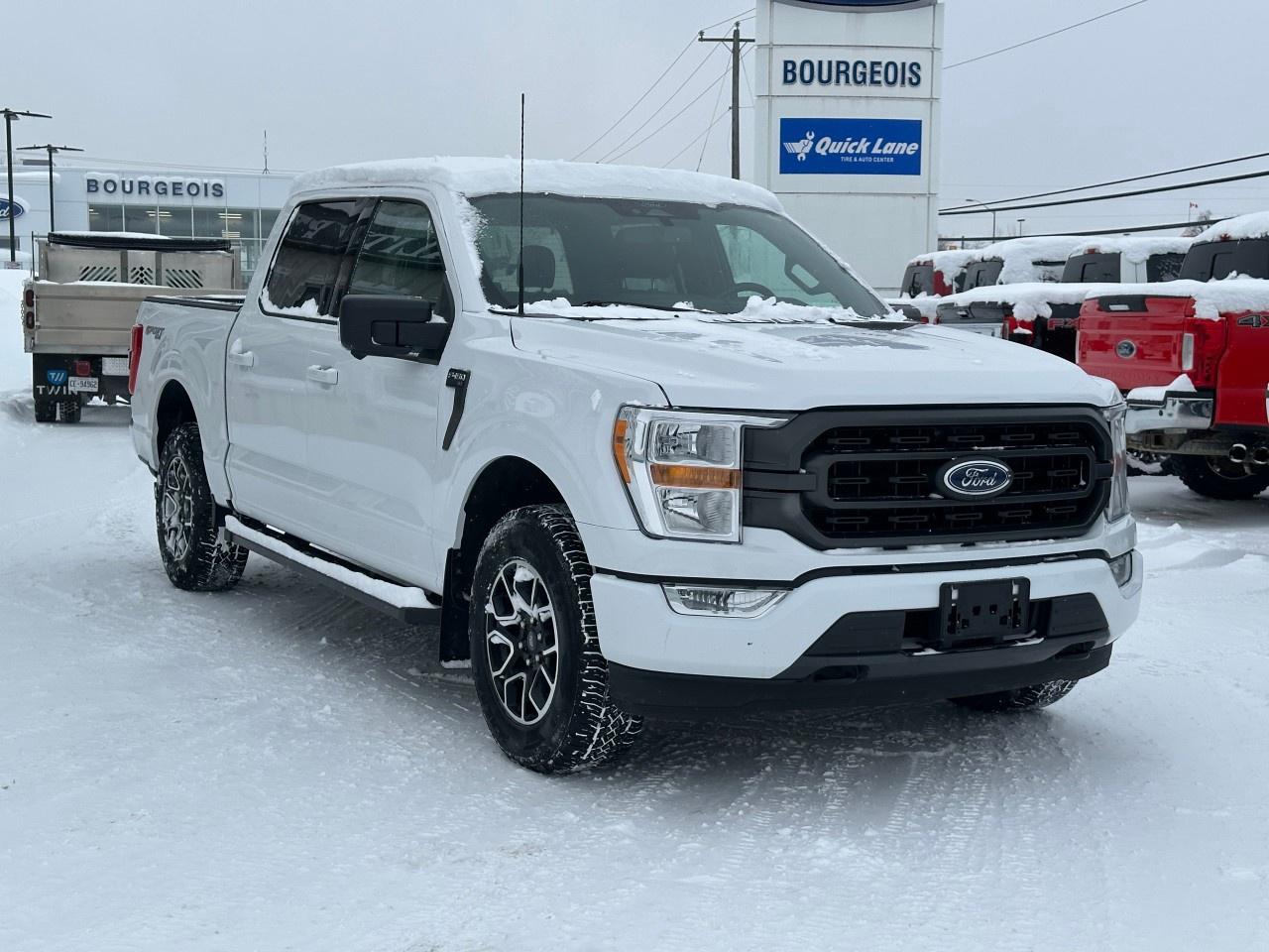 2022 Ford F-150 XLT 4WD SuperCrew 5.5' Box Photo
