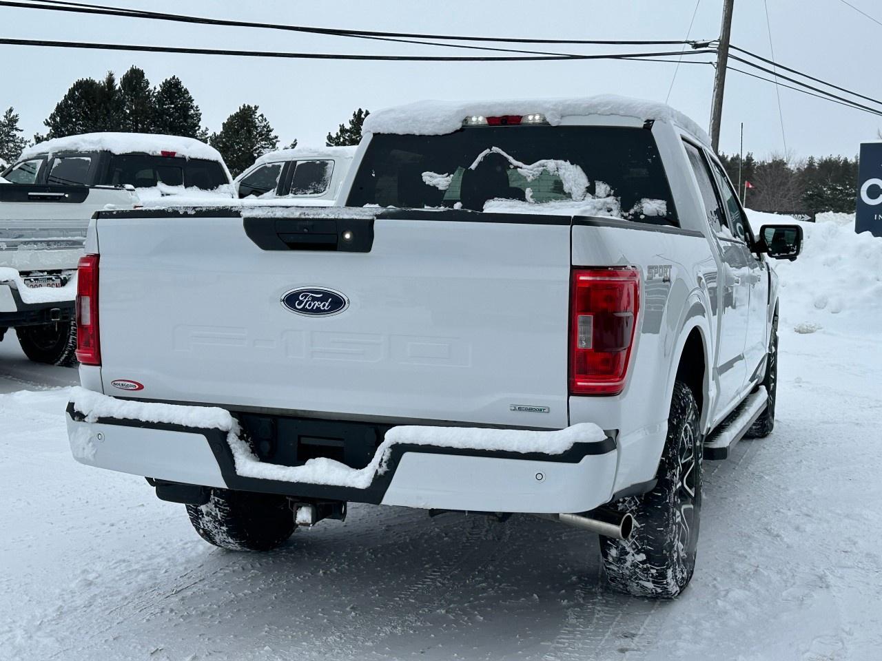 2022 Ford F-150 XLT 4WD SuperCrew 5.5' Box Photo