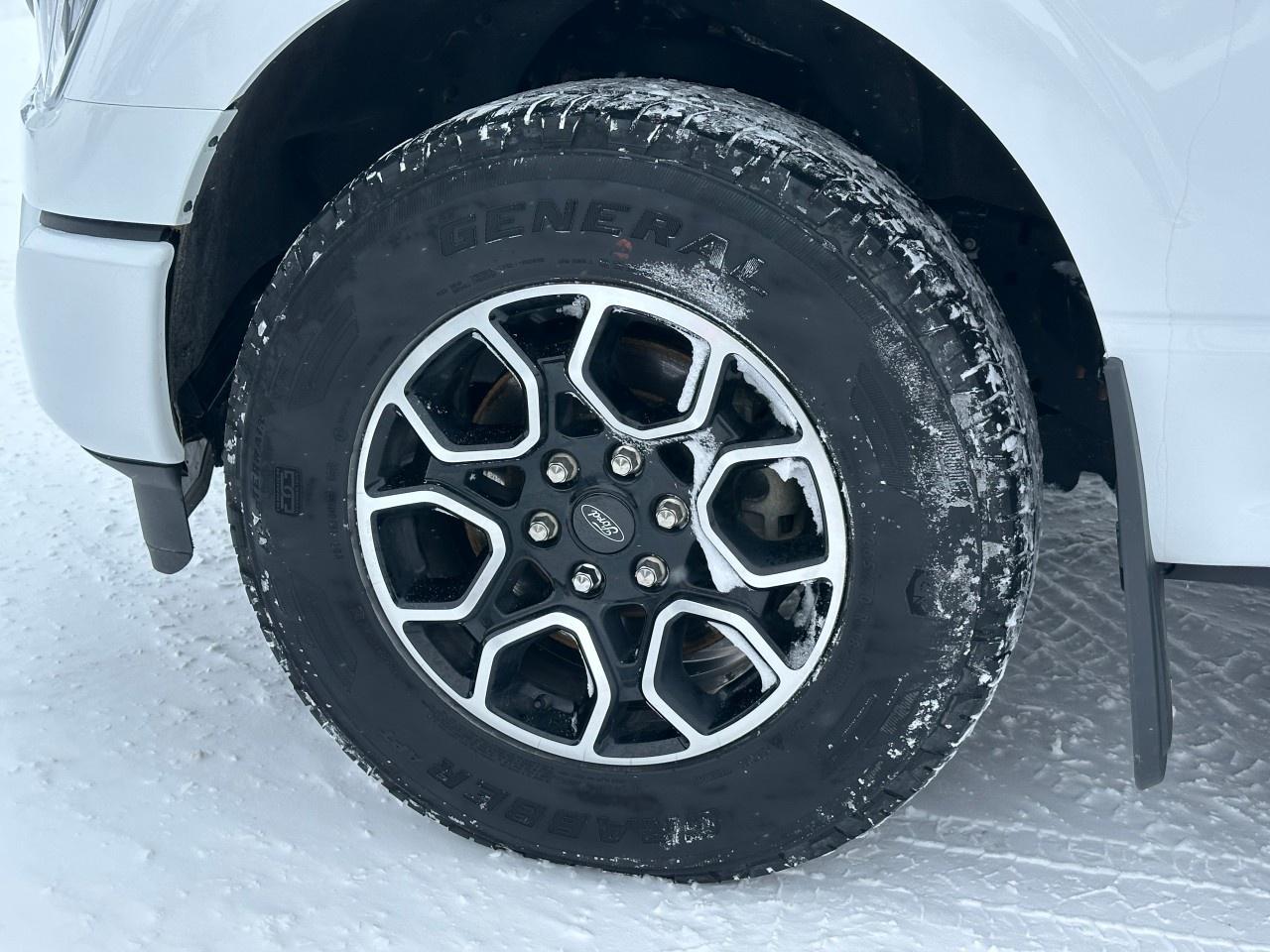 2022 Ford F-150 XLT 4WD SuperCrew 5.5' Box Photo