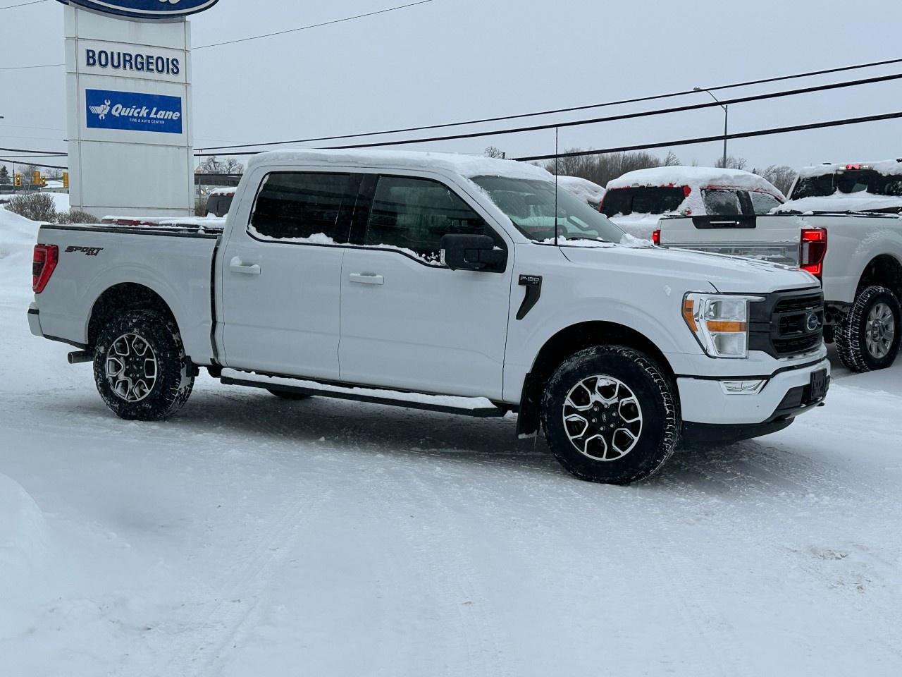 2022 Ford F-150 XLT 4WD SuperCrew 5.5' Box Photo