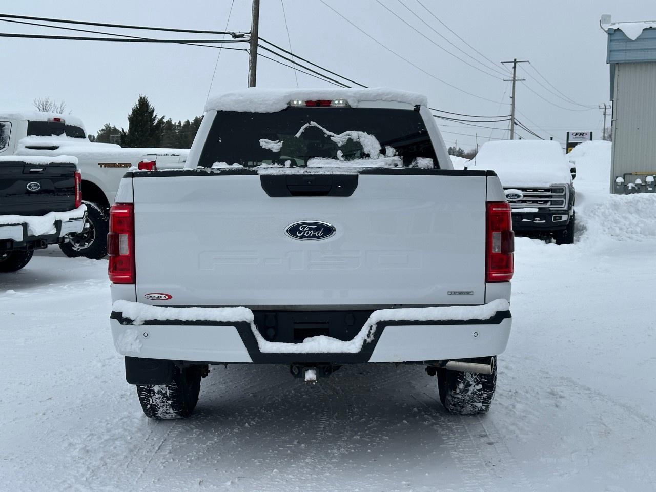 2022 Ford F-150 XLT 4WD SuperCrew 5.5' Box Photo