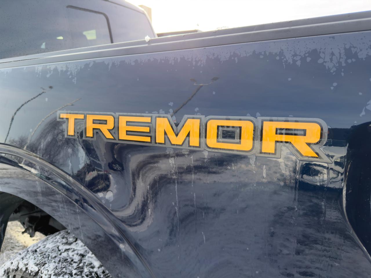 2024 Ford F-150 Tremor 401A|1 OWNER| NO ACCIDENTS| WARRANTY REMAINING Photo