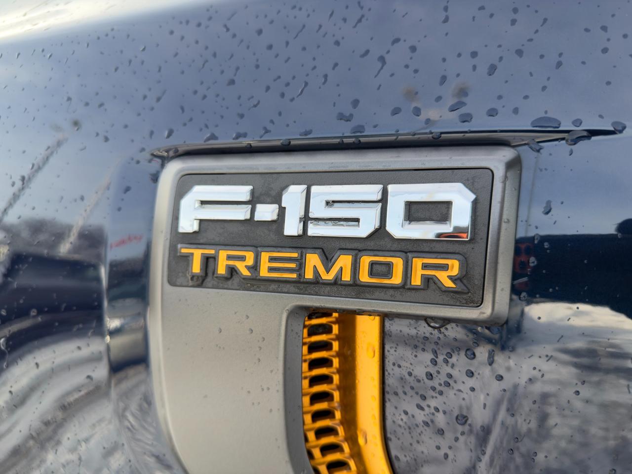 2024 Ford F-150 Tremor 401A|1 OWNER| NO ACCIDENTS| WARRANTY REMAINING Photo