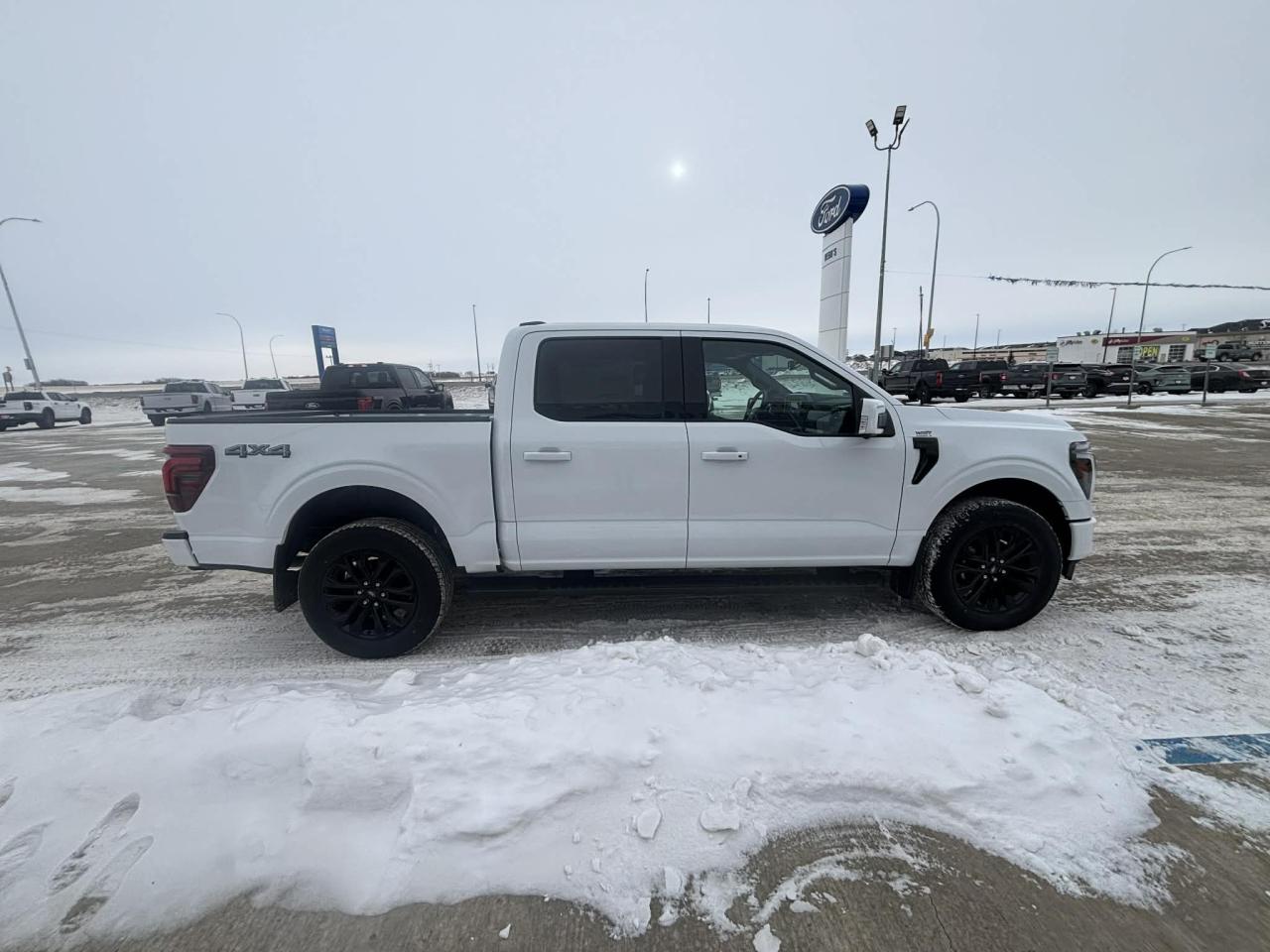 2025 Ford F-150 Lariat 4WD SuperCrew 5.5' Box Photo3