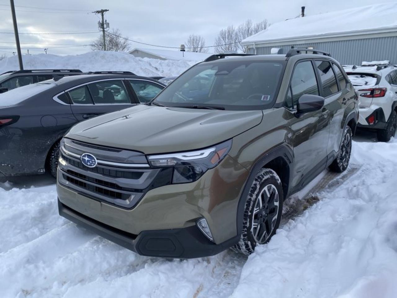 Used 2025 Subaru Forester TOURING for sale in Charlottetown, PE