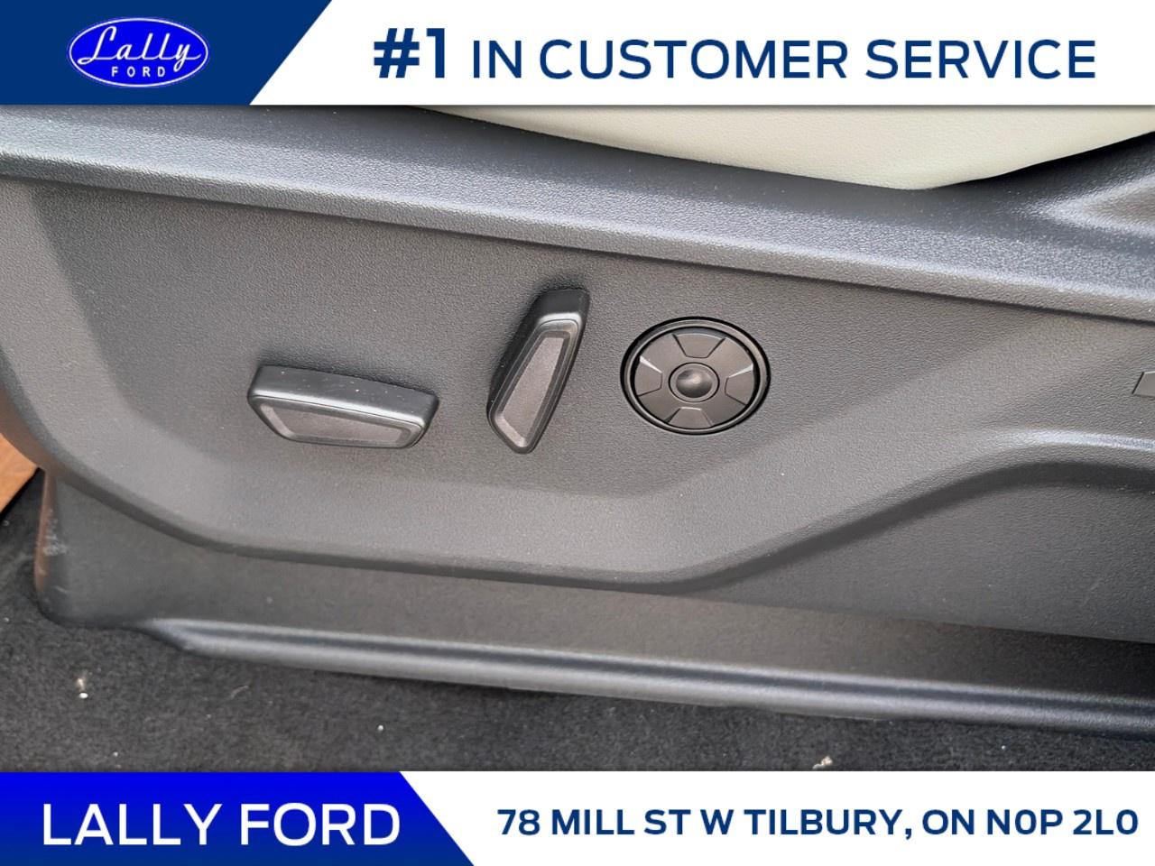 2026 Ford Expedition Platinum 4x4 Photo