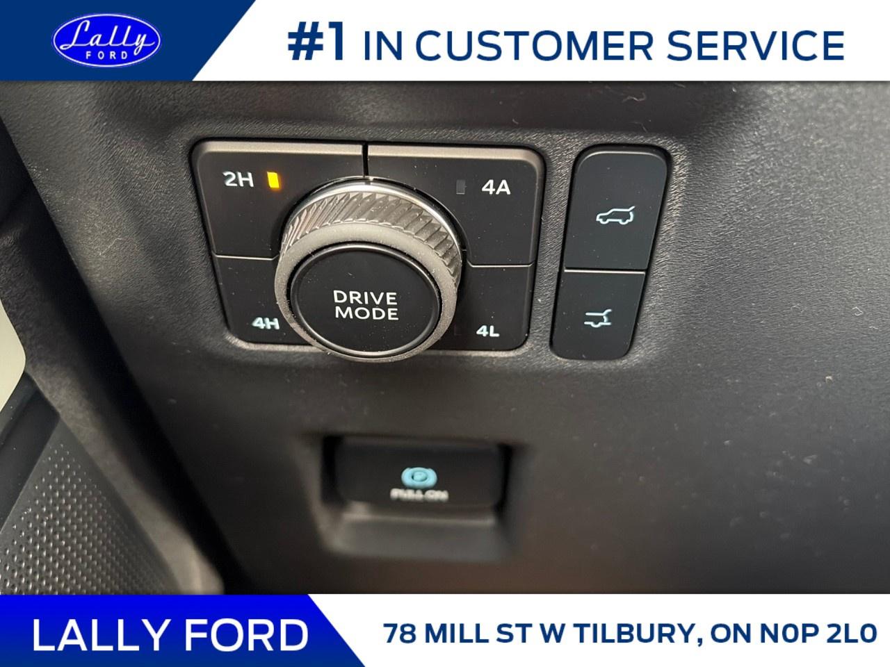 2026 Ford Expedition Platinum 4x4 Photo