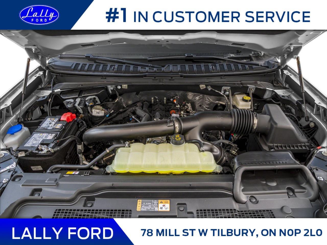 2026 Ford Expedition Platinum Max 4X4 Photo