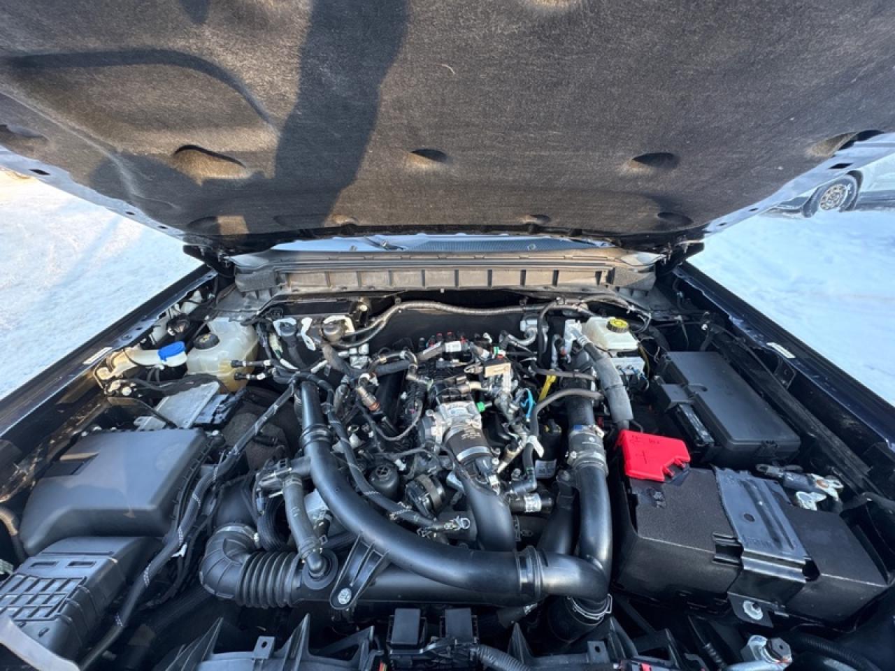 2021 Ford Bronco Outer Banks 4X4  - Low Mileage Photo