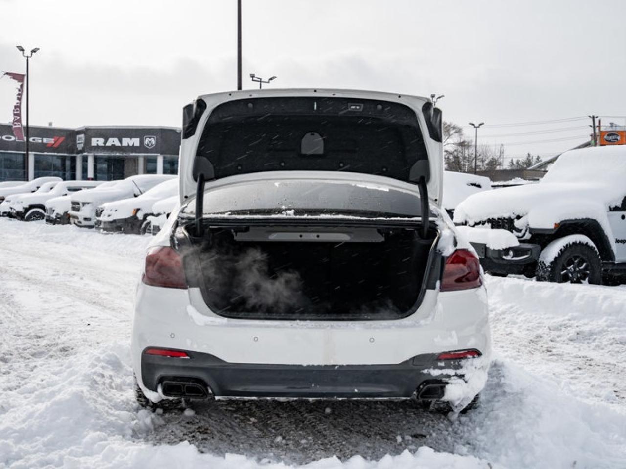 2019 BMW 5 Series M550i xDrive Photo