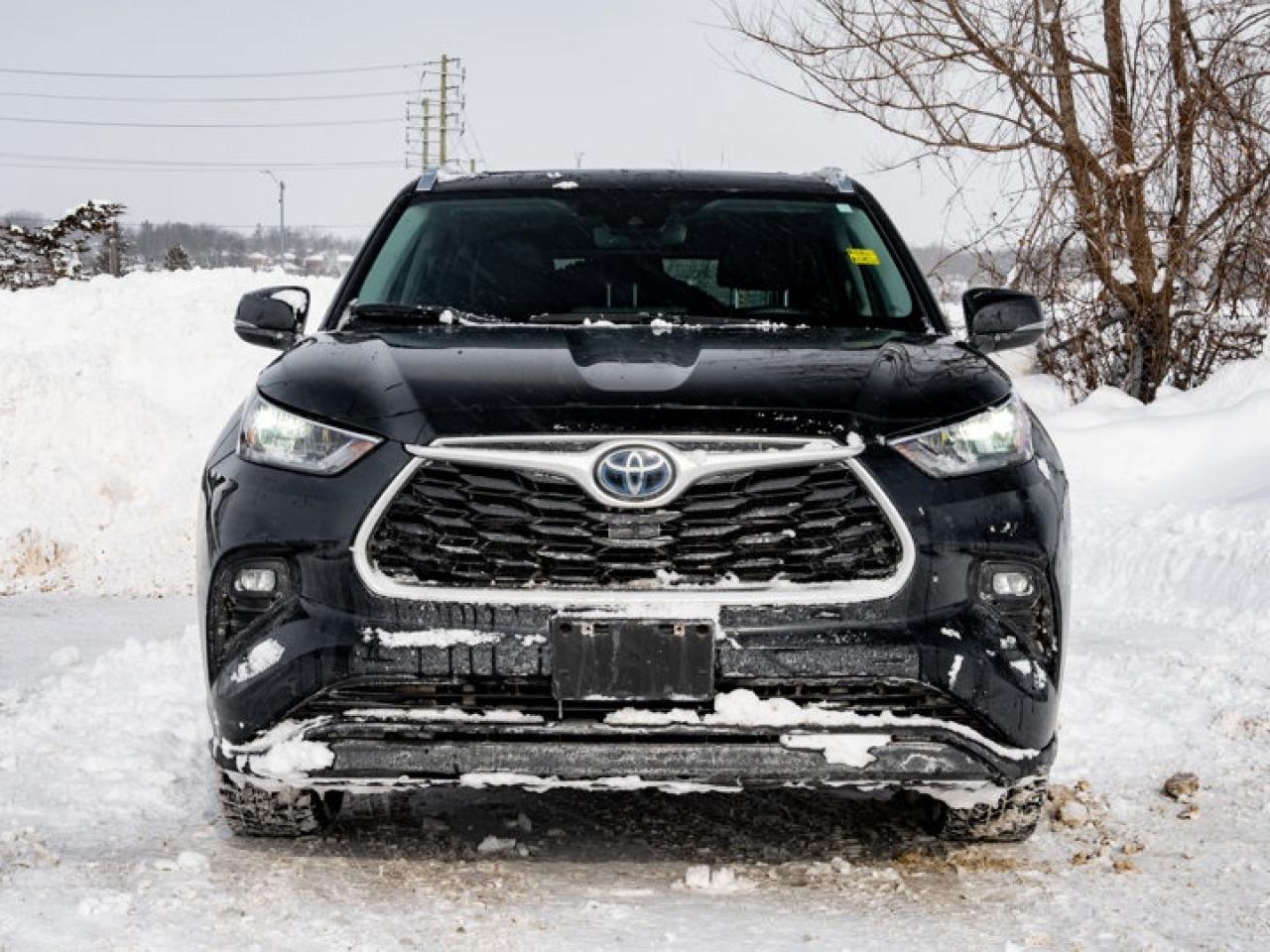2020 Toyota Highlander HYBRID XLE Photo