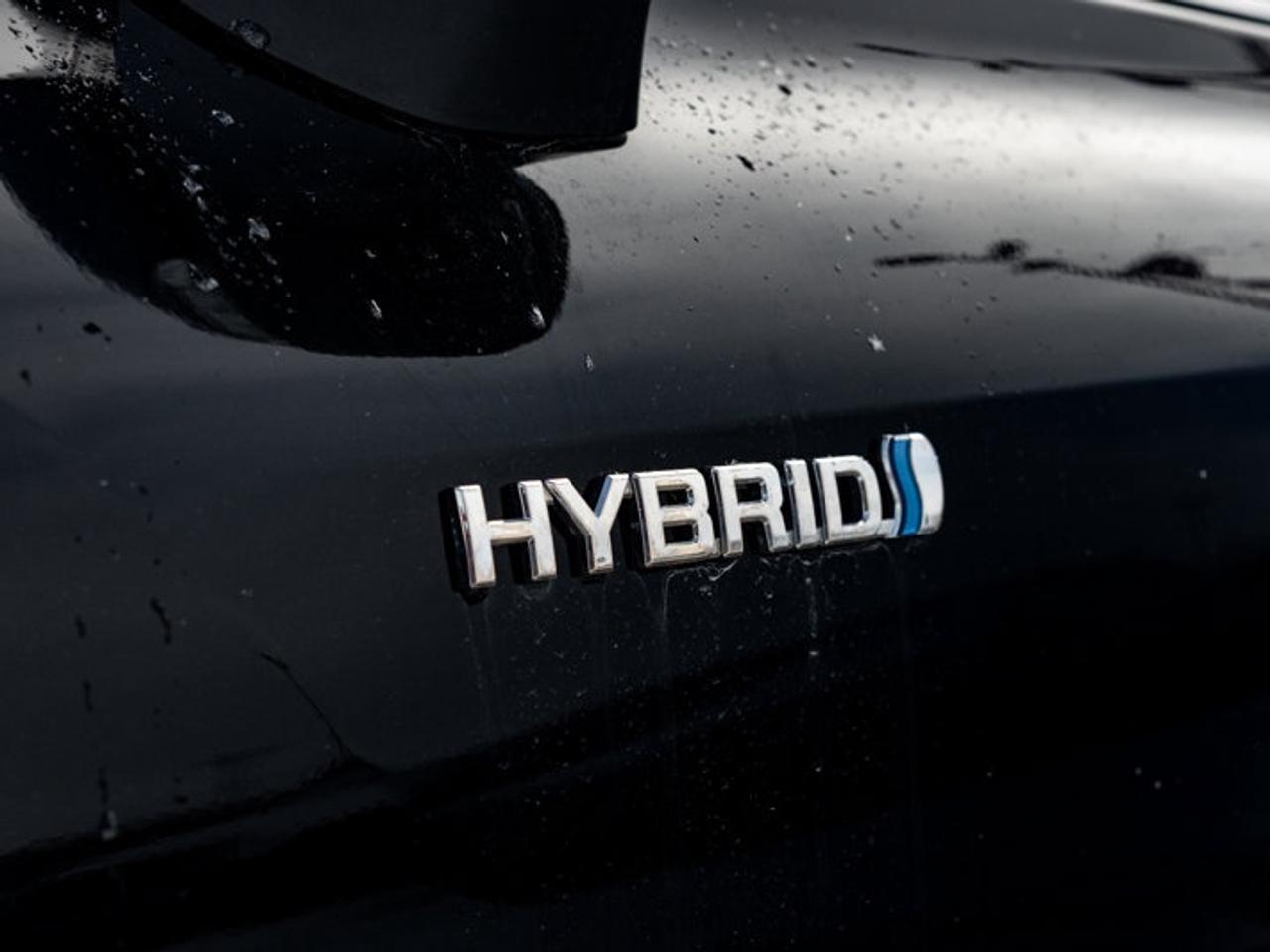 2020 Toyota Highlander HYBRID XLE Photo