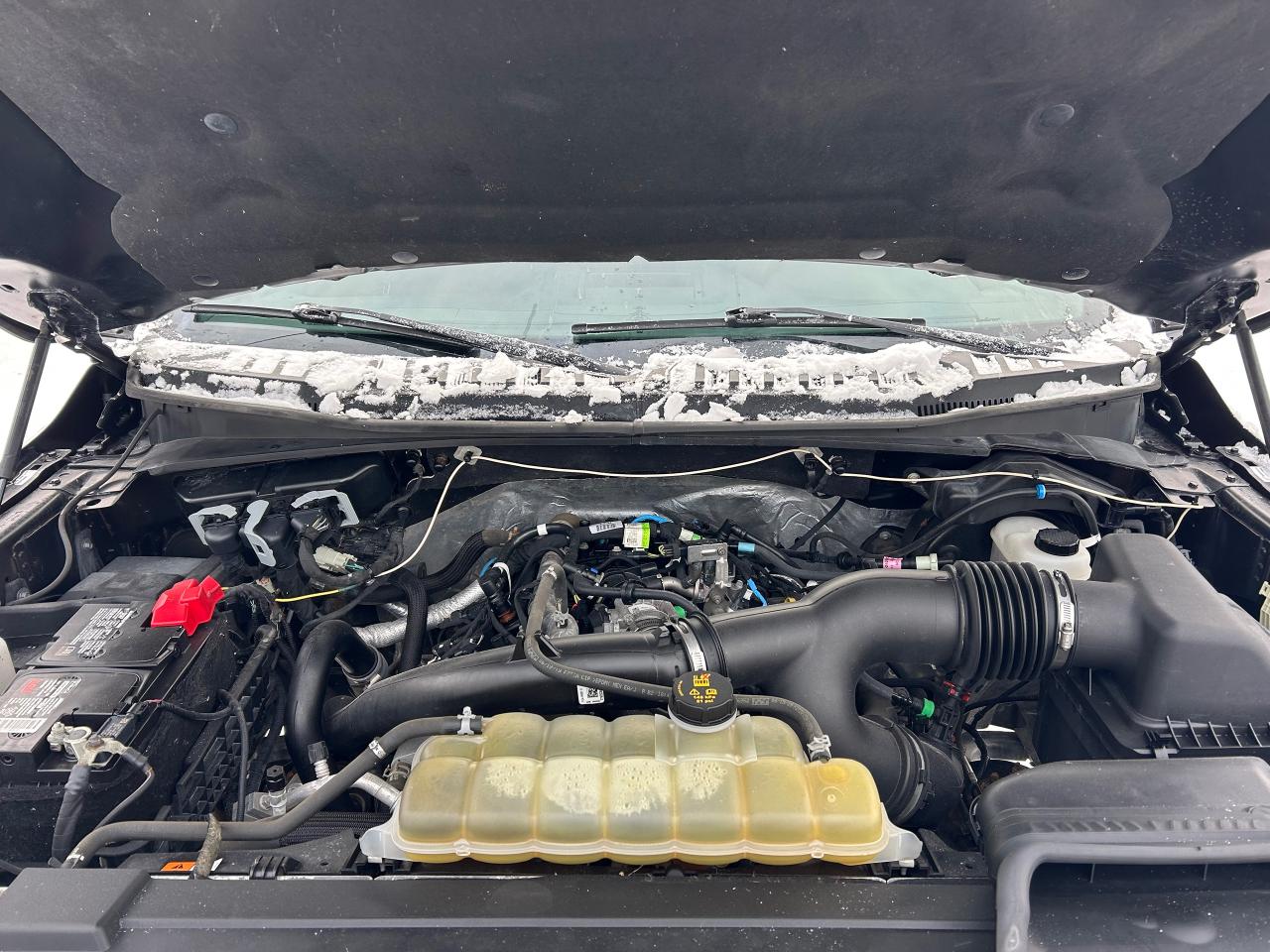 2019 Ford F-150 SPORT Photo