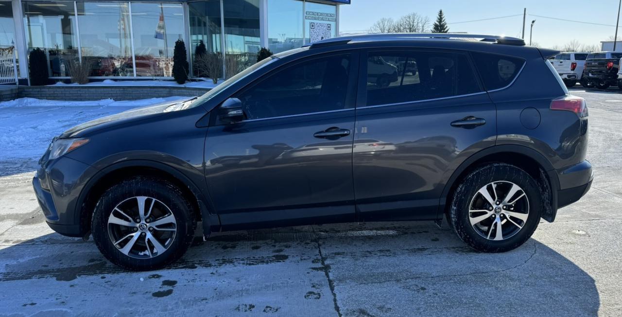 2016 Toyota RAV4 AWD 4dr XLE Photo