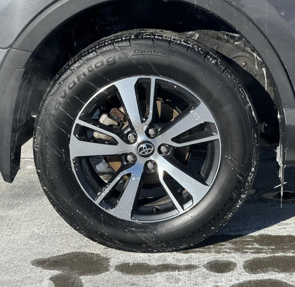 2016 Toyota RAV4 AWD 4dr XLE Photo