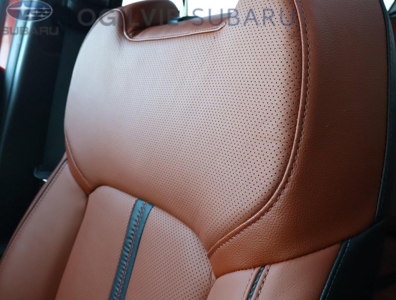 2025 Mazda CX-50 Hybrid GT 4dr All-Wheel Drive Sport Utility Photo