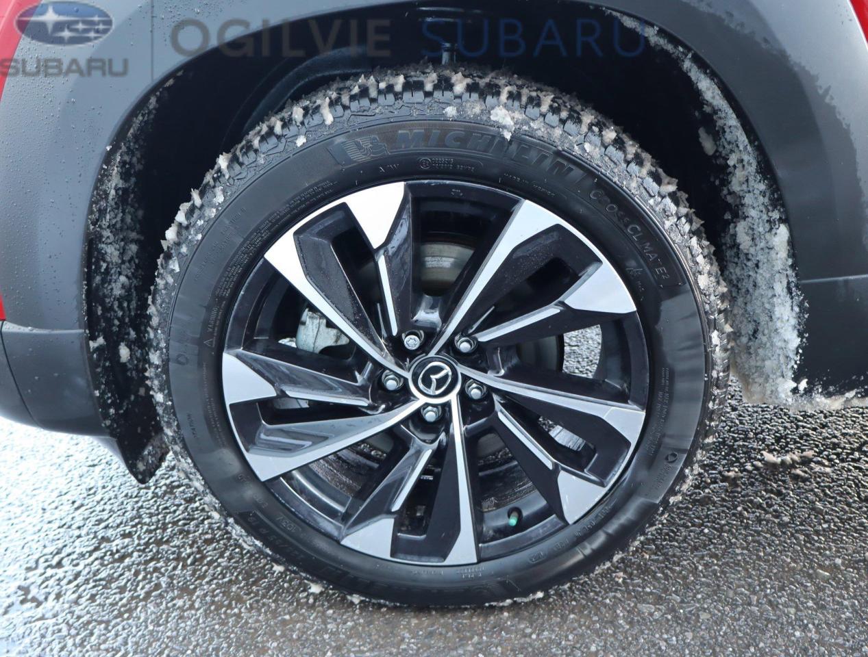 2025 Mazda CX-50 Hybrid GT 4dr All-Wheel Drive Sport Utility Photo